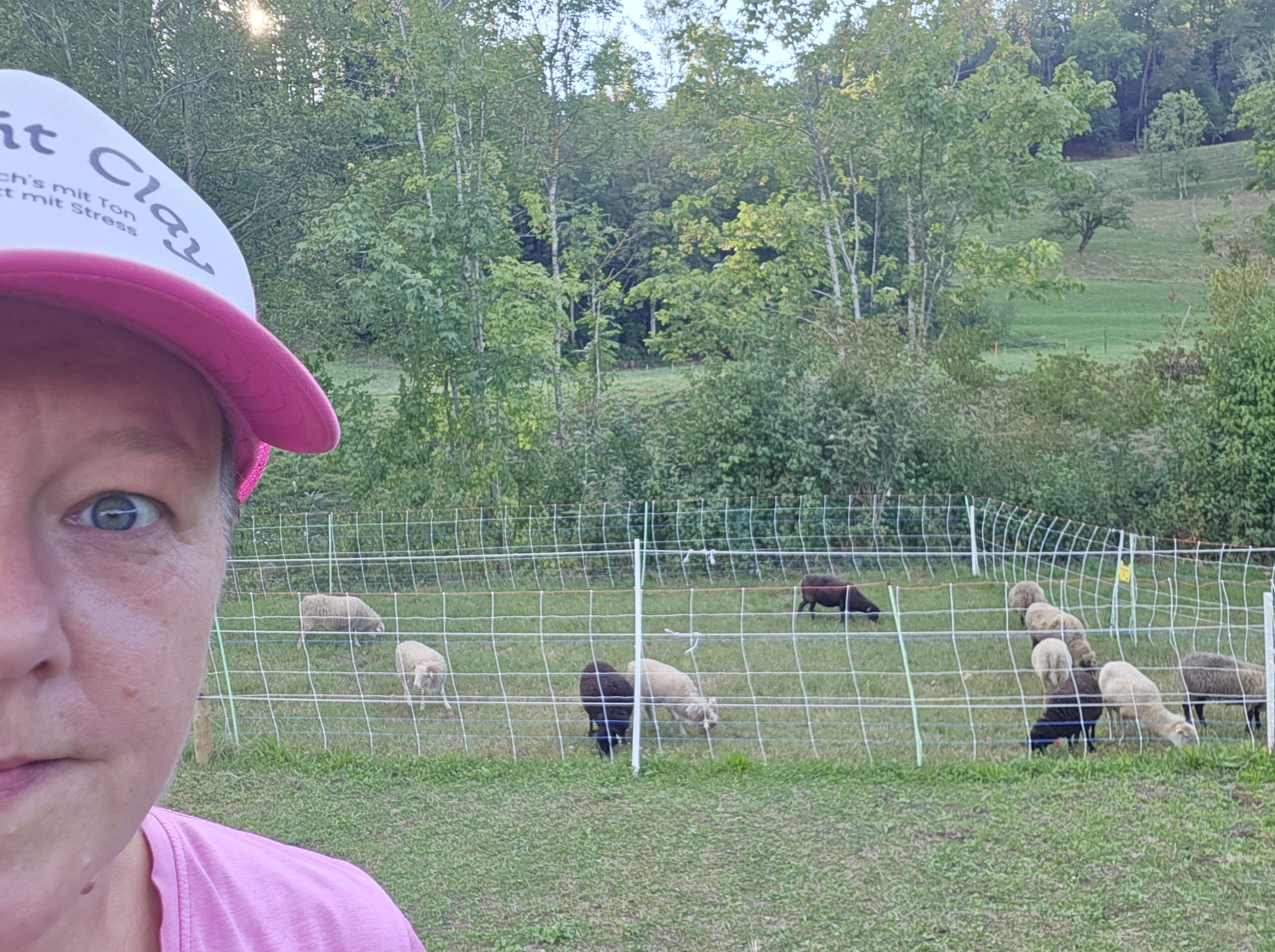 Antje am Rand einer Weide mit mehreren Schafen im Hintergrund.